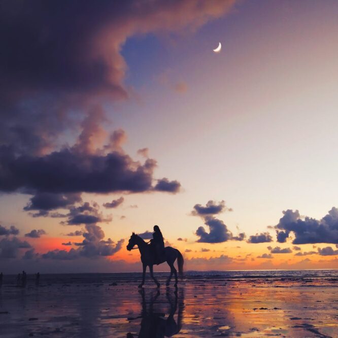 silhouette photo of person riding on horse under twilight sky