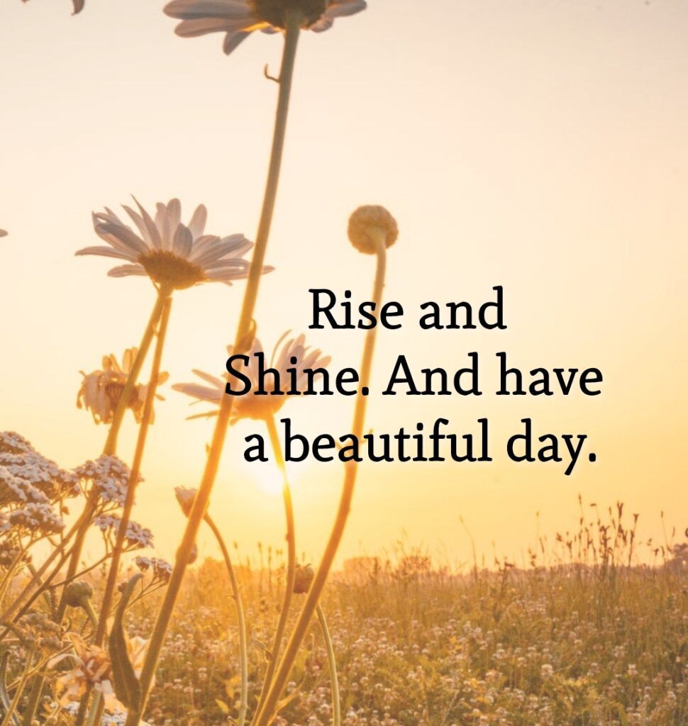 17 Good Morning Quotes - Rise And Shine - Life Hayat