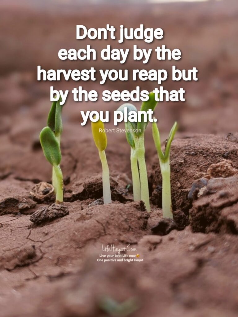 Friday best quotes