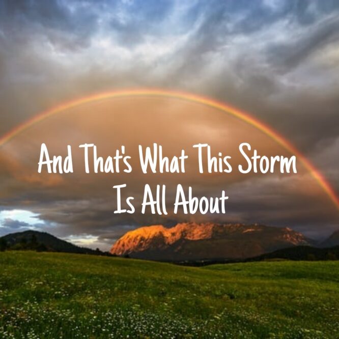 And That's What This Storm Is All About