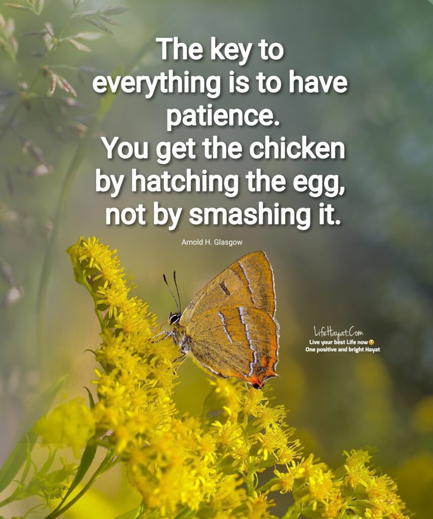 Have patience 