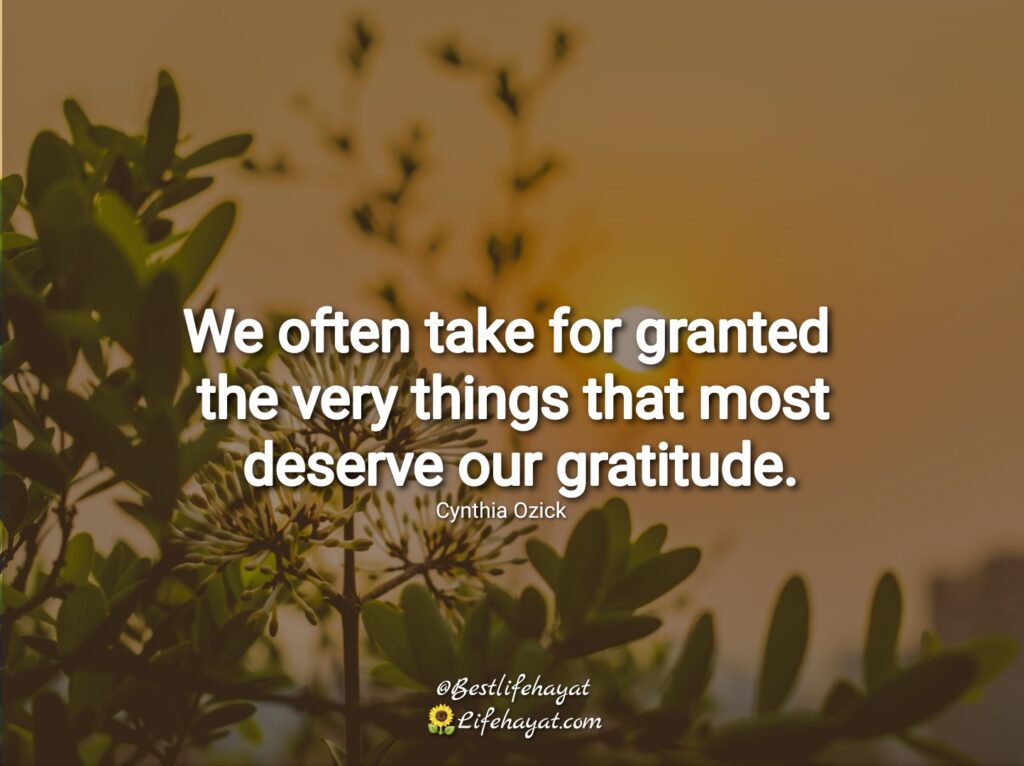 Gratitude-turns-what-we-have-into-enough