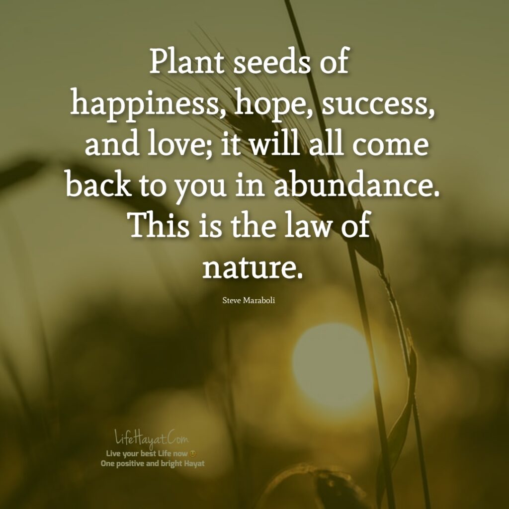 Planting-seeds-quotes