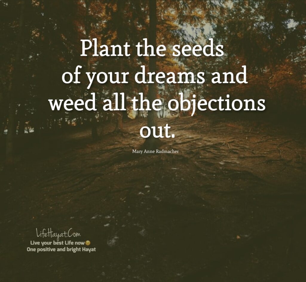 Planting-seeds-quotes