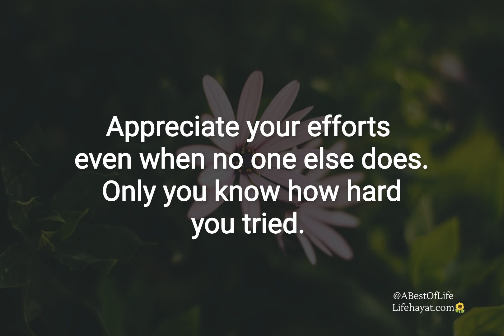 Appreciate-your-efforts