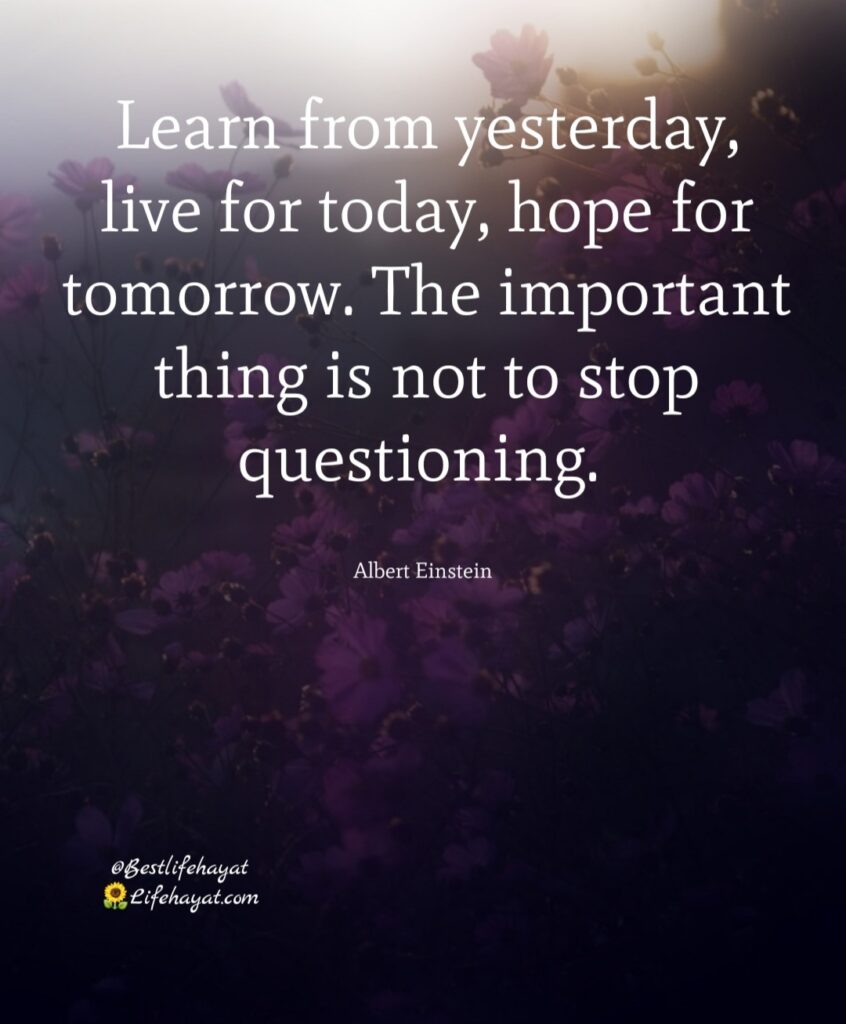 Life Taught Me Quotes Best Life Hayat