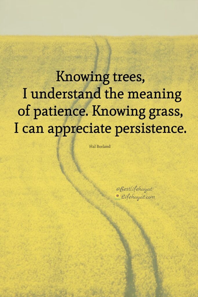 always-have-patience-quotes