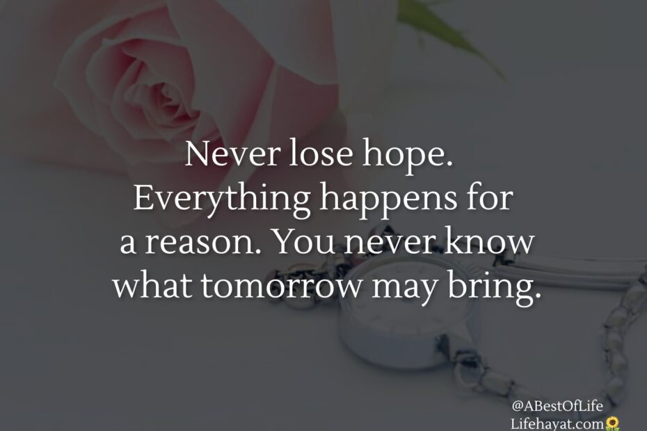 Never-lose-hope