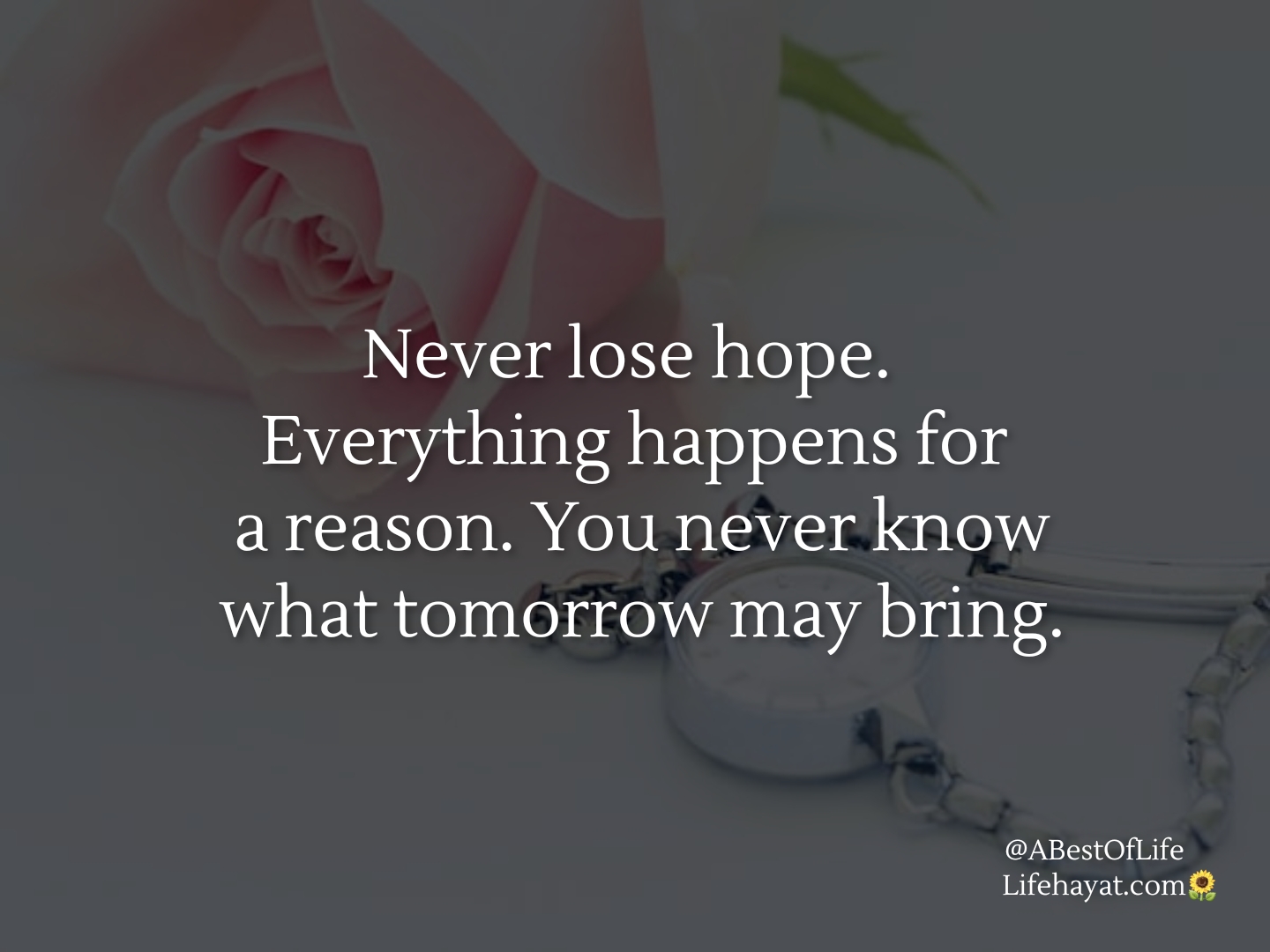 Never-lose-hope