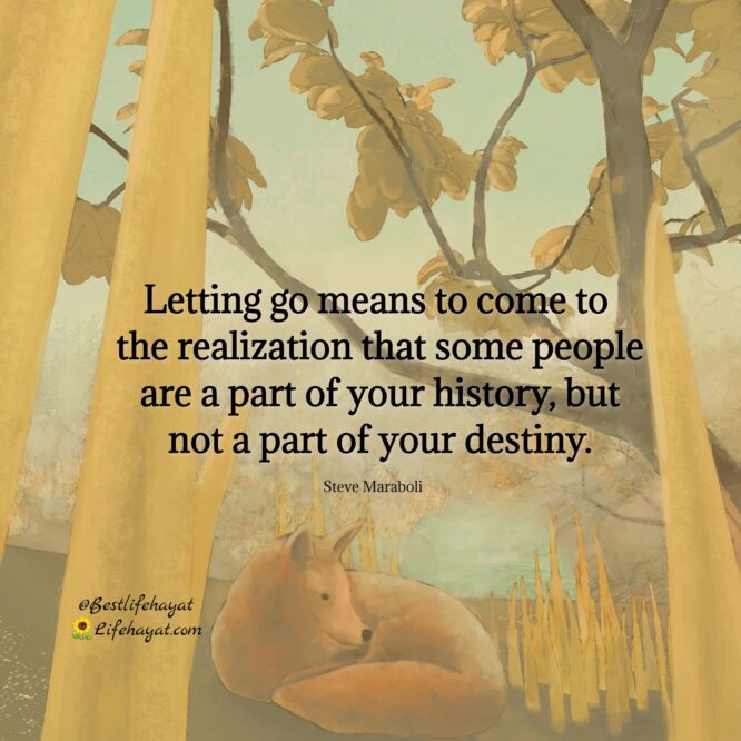 If You Want To Let Go – Quotes Of The Day