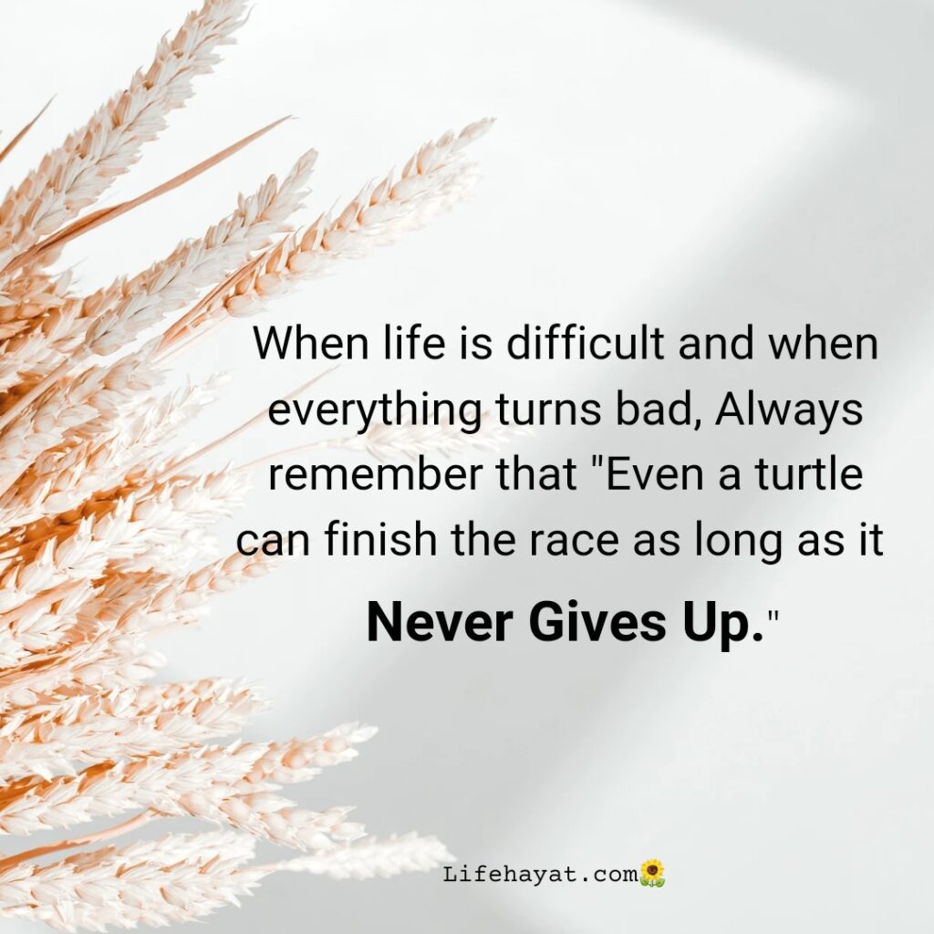 Never-give-up-quote