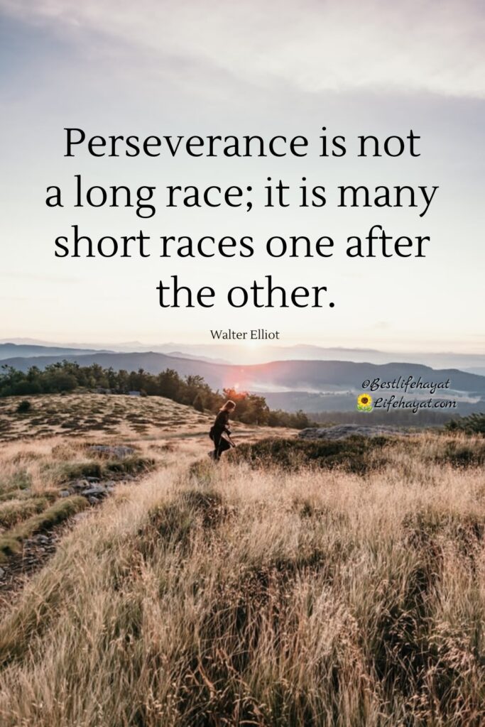 Perseverance-quotes