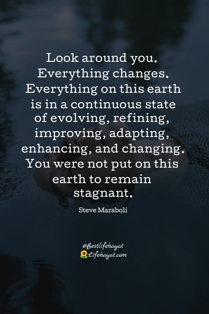 Steve-Maraboli-quote