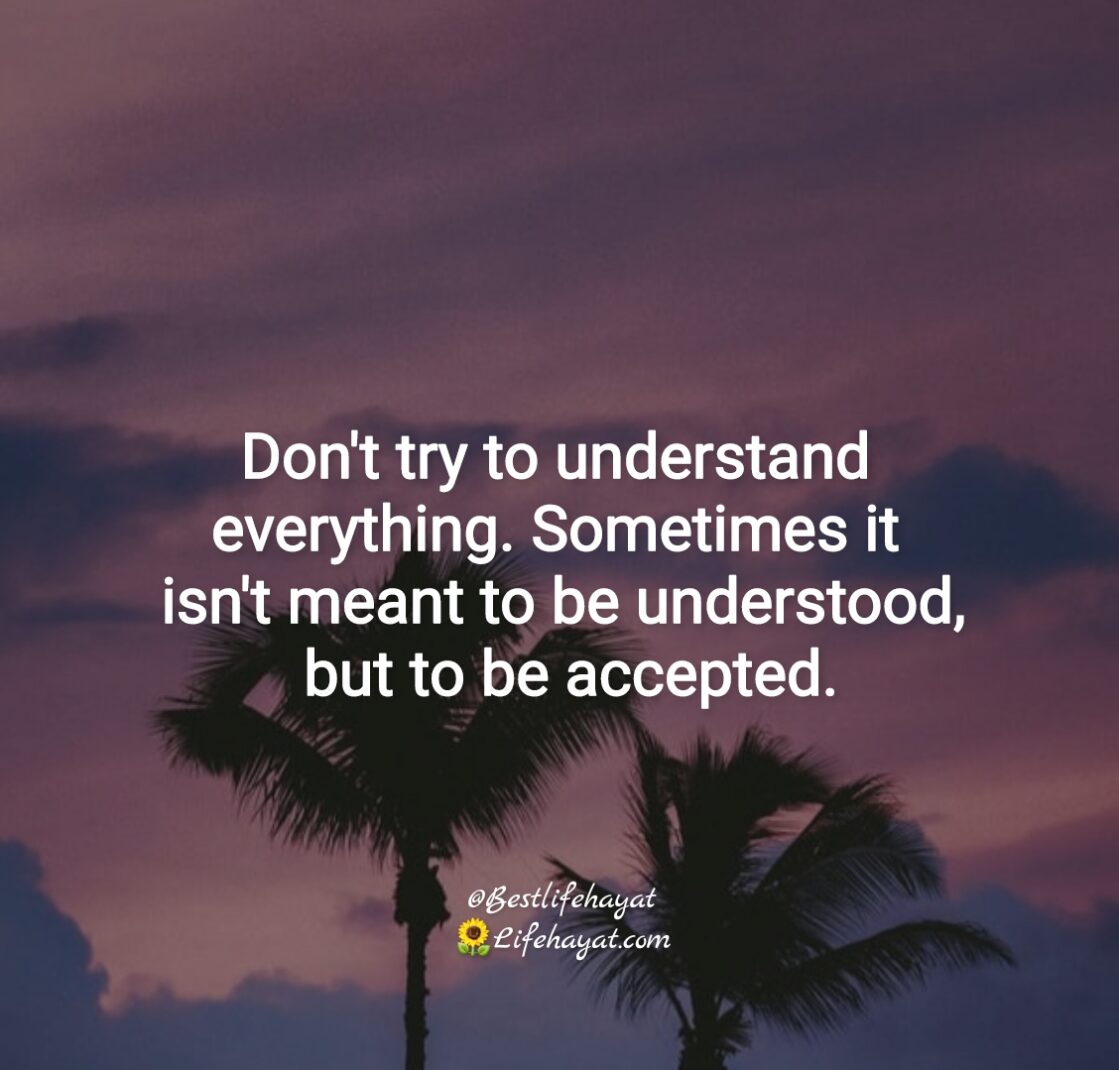 Understand-everything