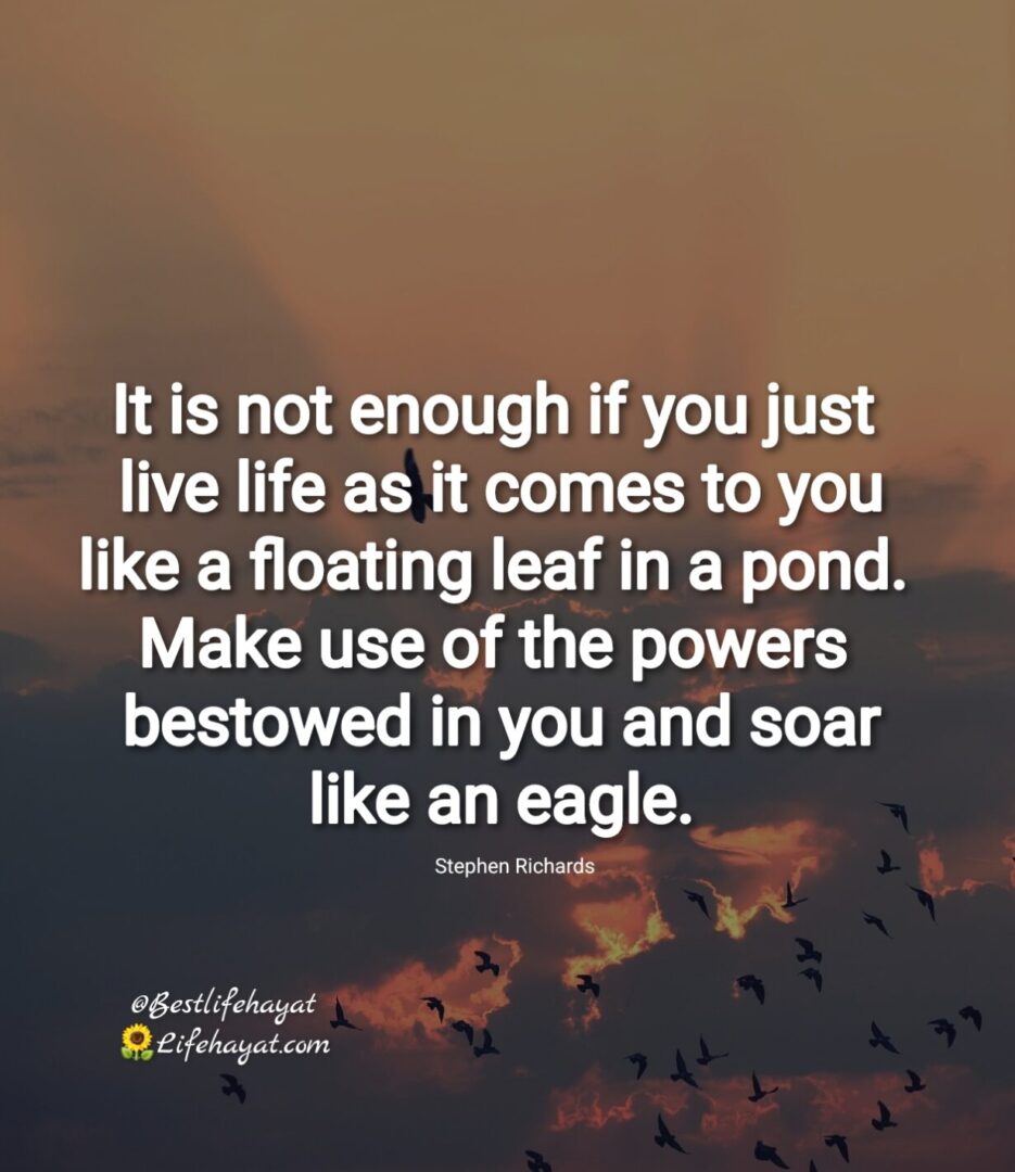 Soar like an eagle