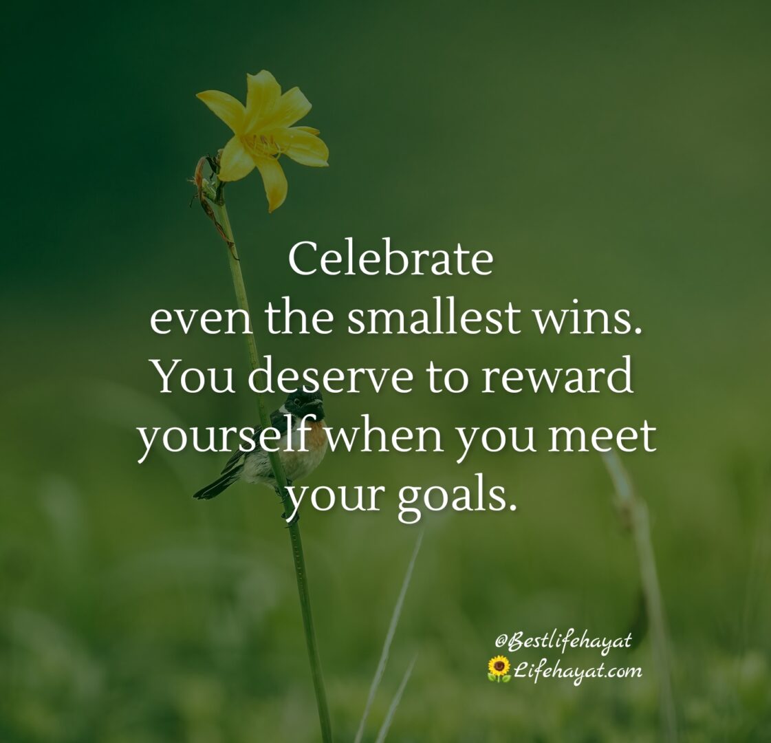 You deserve to reward yourself Best Life Hayat