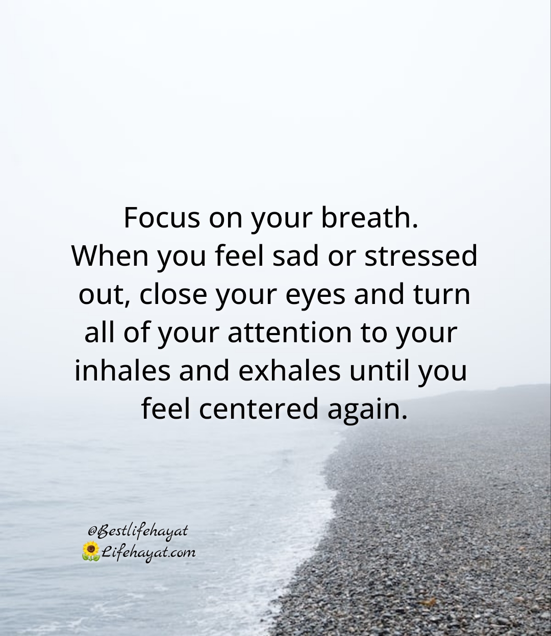Focus-on-your-breath