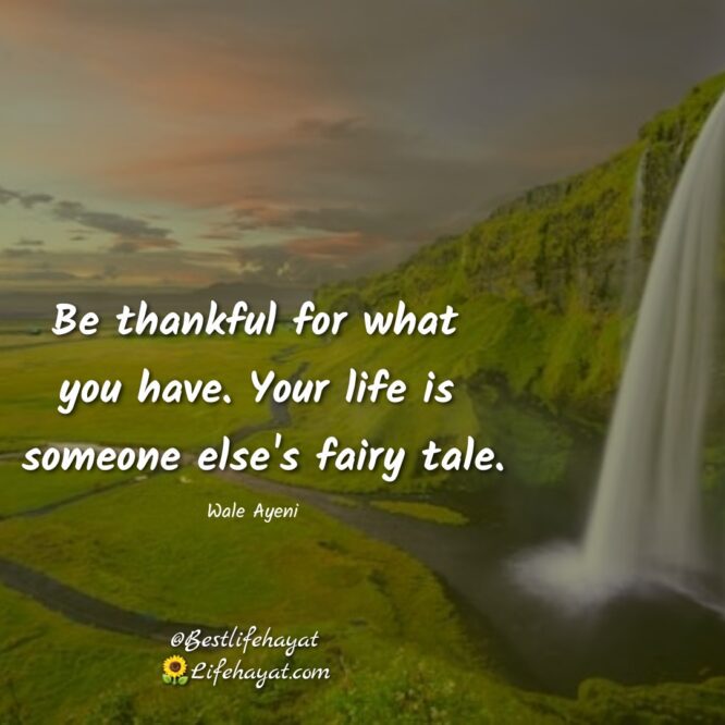 Words Of Gratitude And Appreciation – 25 Inspiring Quotes