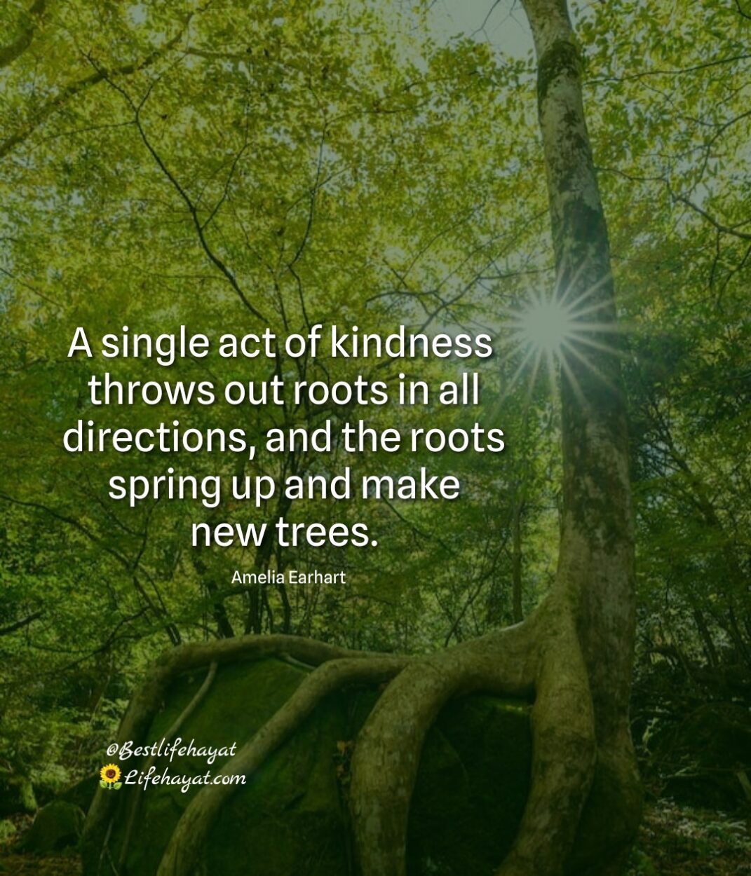 A-single-act-of-kindness
