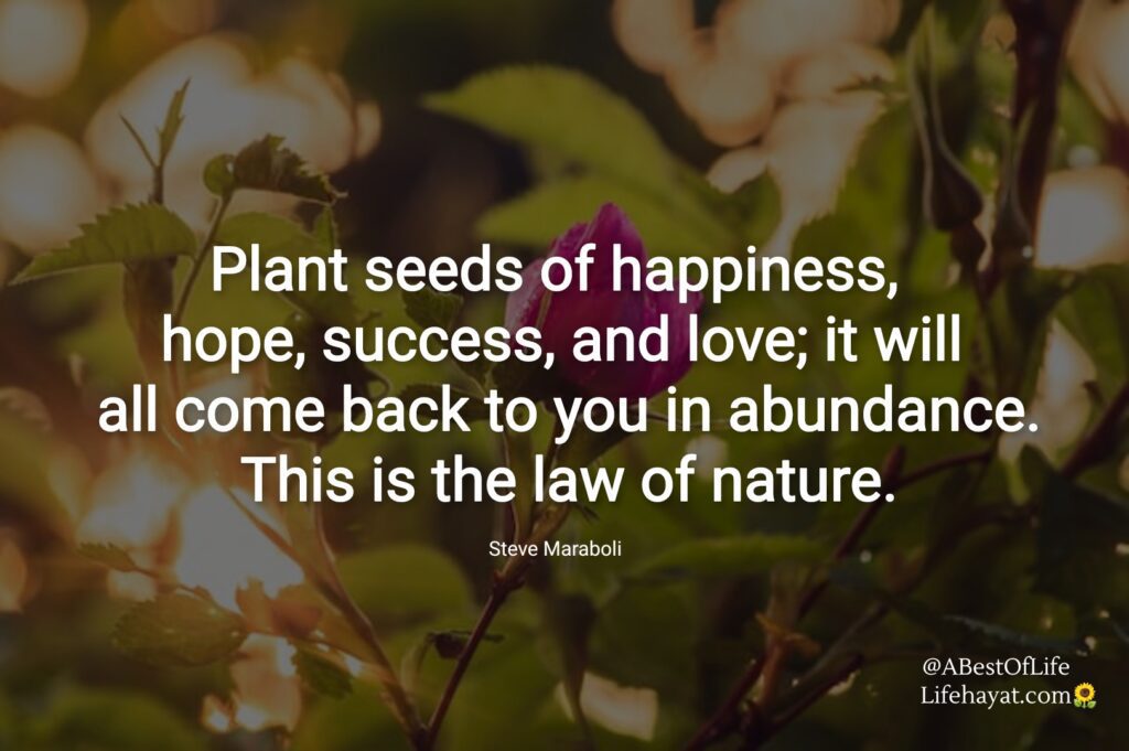 Seeds-of-happiness