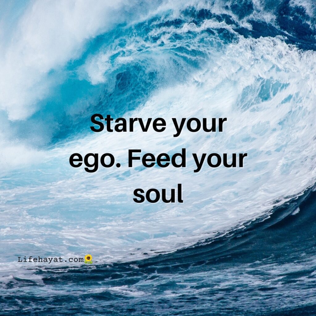 Quotes-about-ego